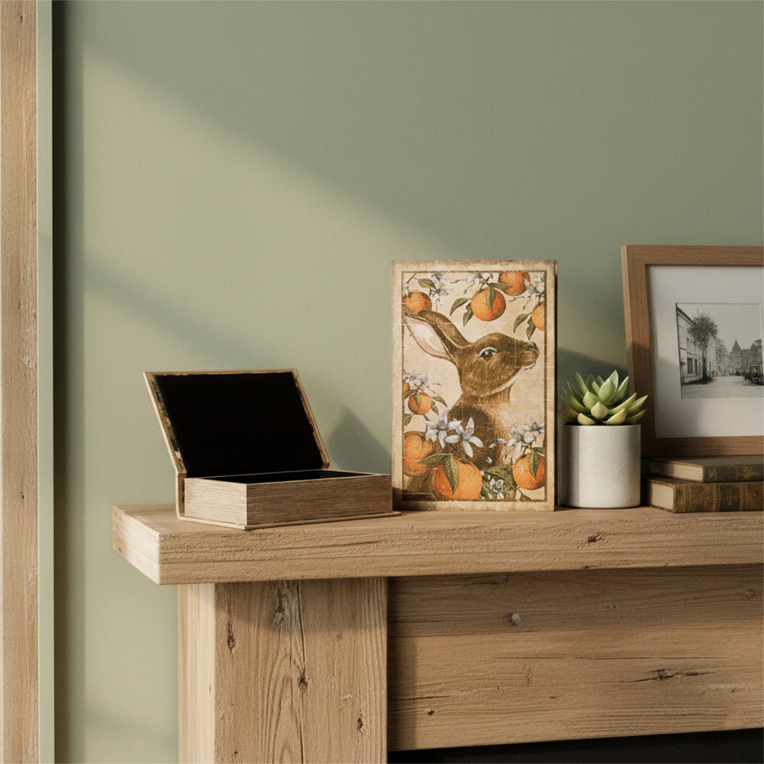 The Rabbit Book Box Set of 2