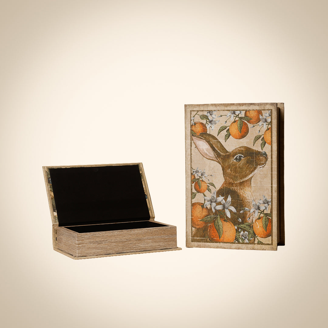 The Rabbit Book Box Set of 2