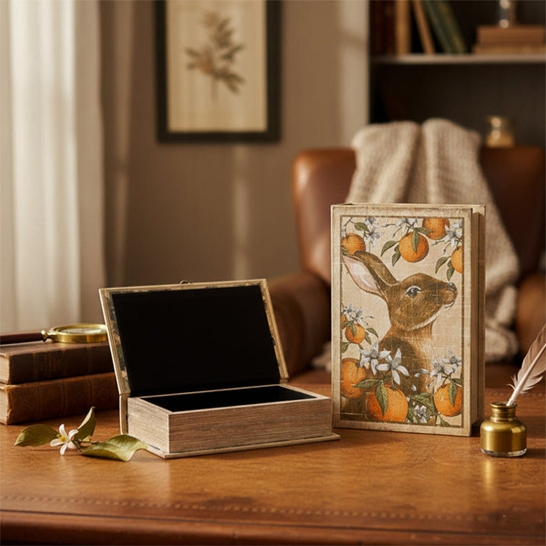 The Rabbit Book Box Set of 2