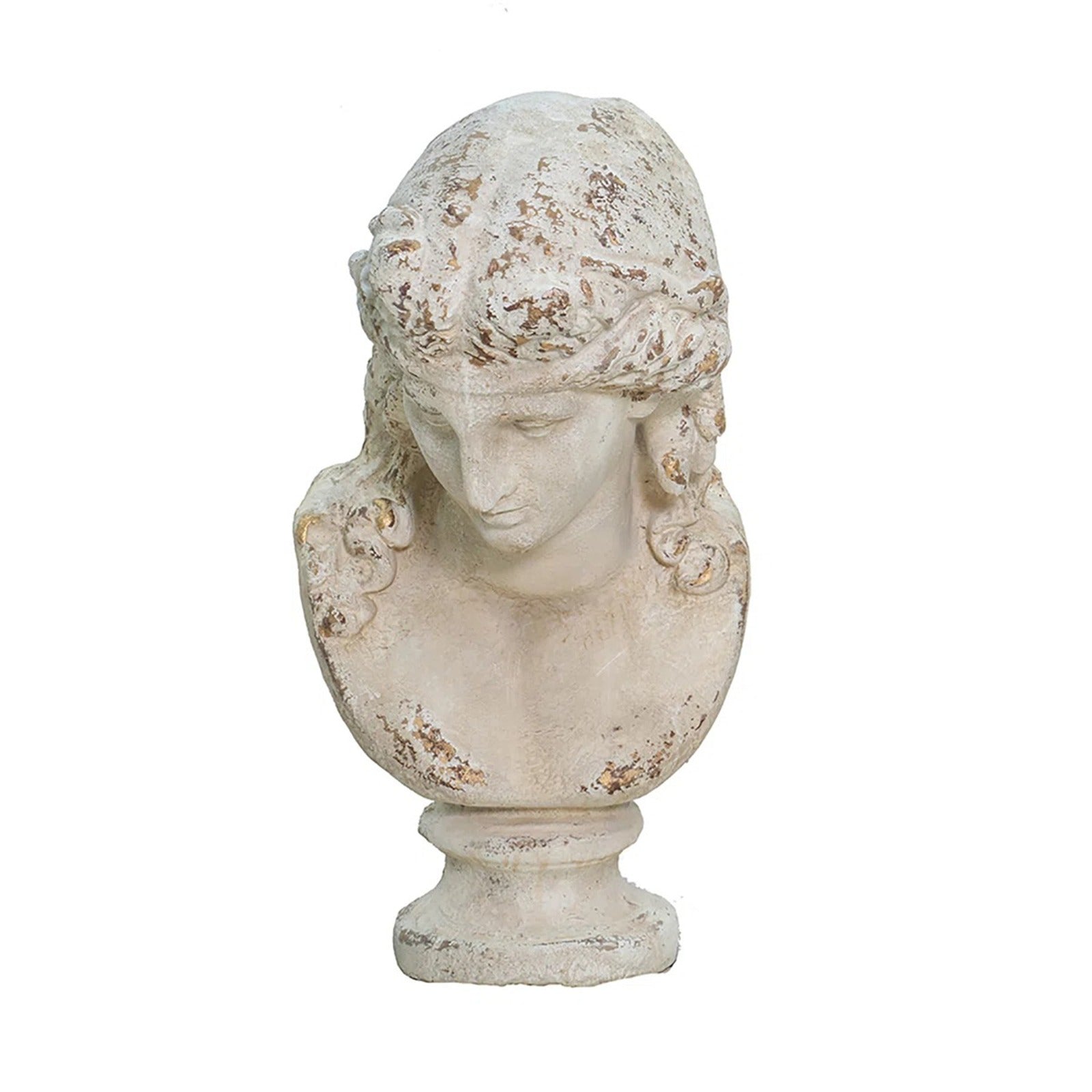 The European Man Bust