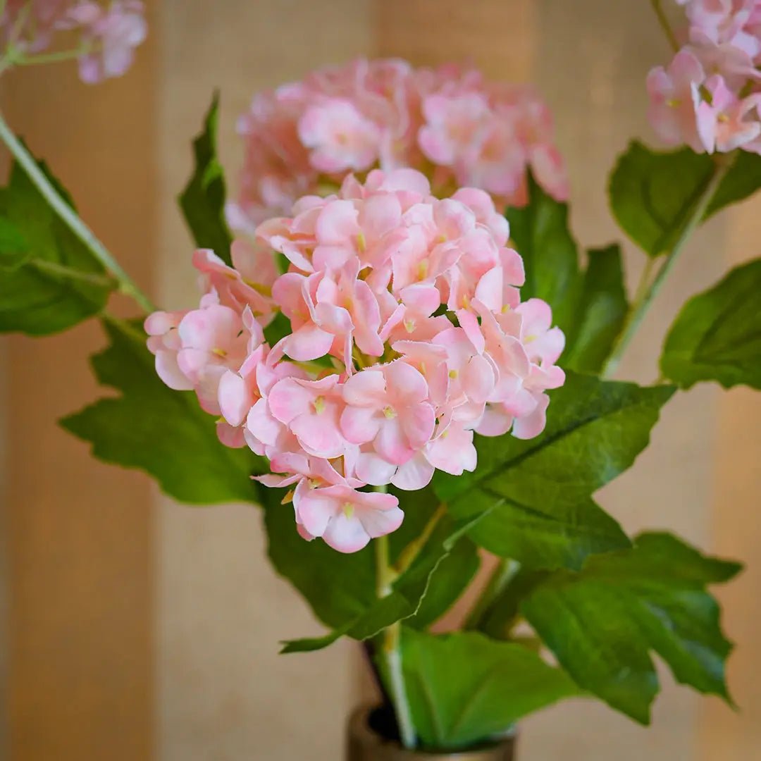 Blush Hydrangea Bloom - Daamaira Home and Living Ltd