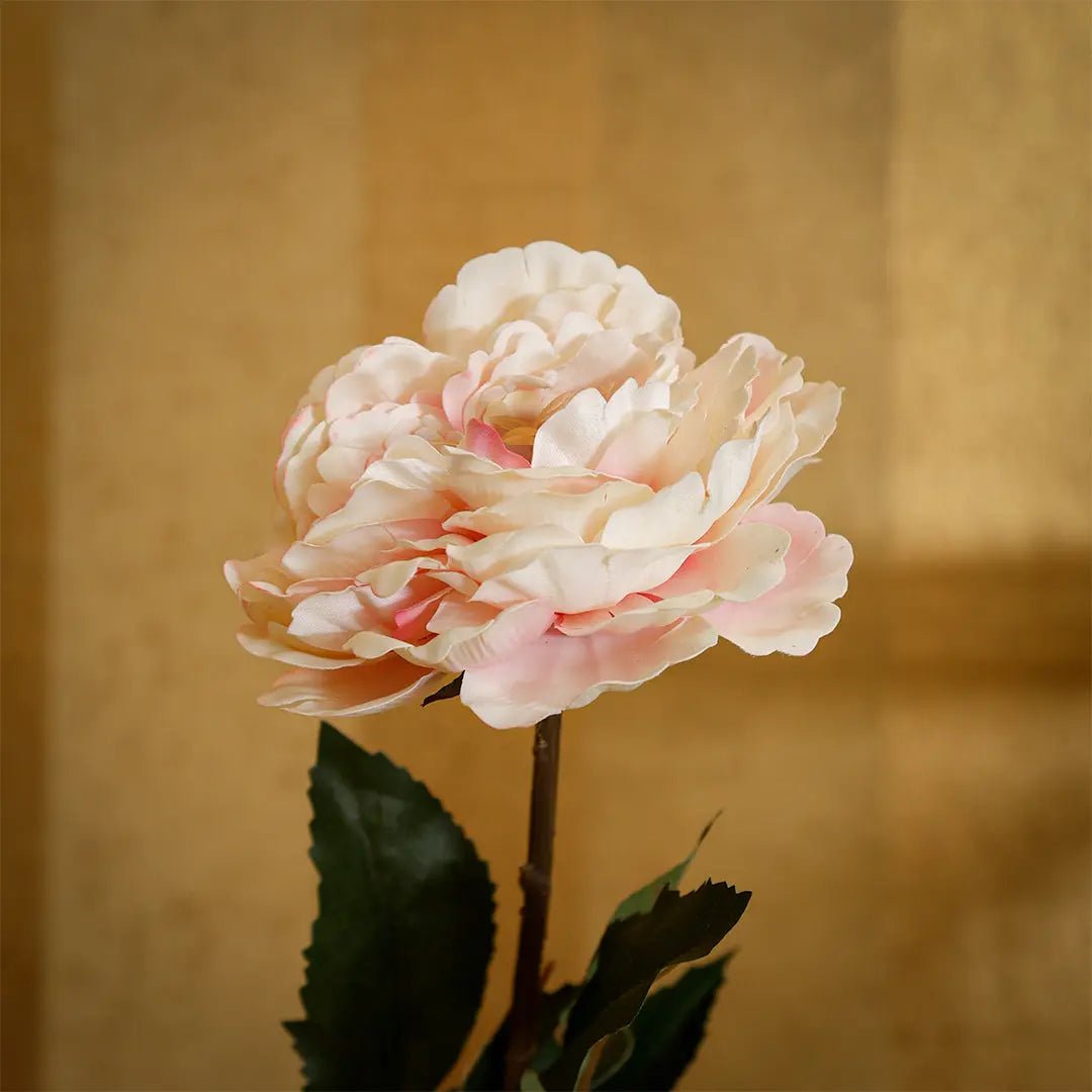 Daamaira Blush Peony Stem Accent - Daamaira Home and Living Ltd