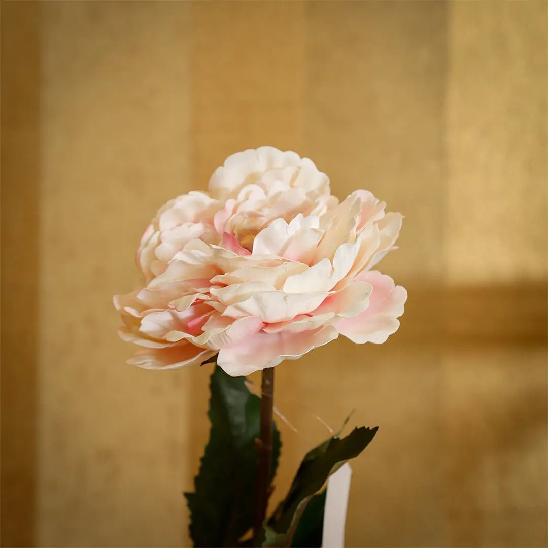 Daamaira Blush Peony Stem Accent - Daamaira Home and Living Ltd