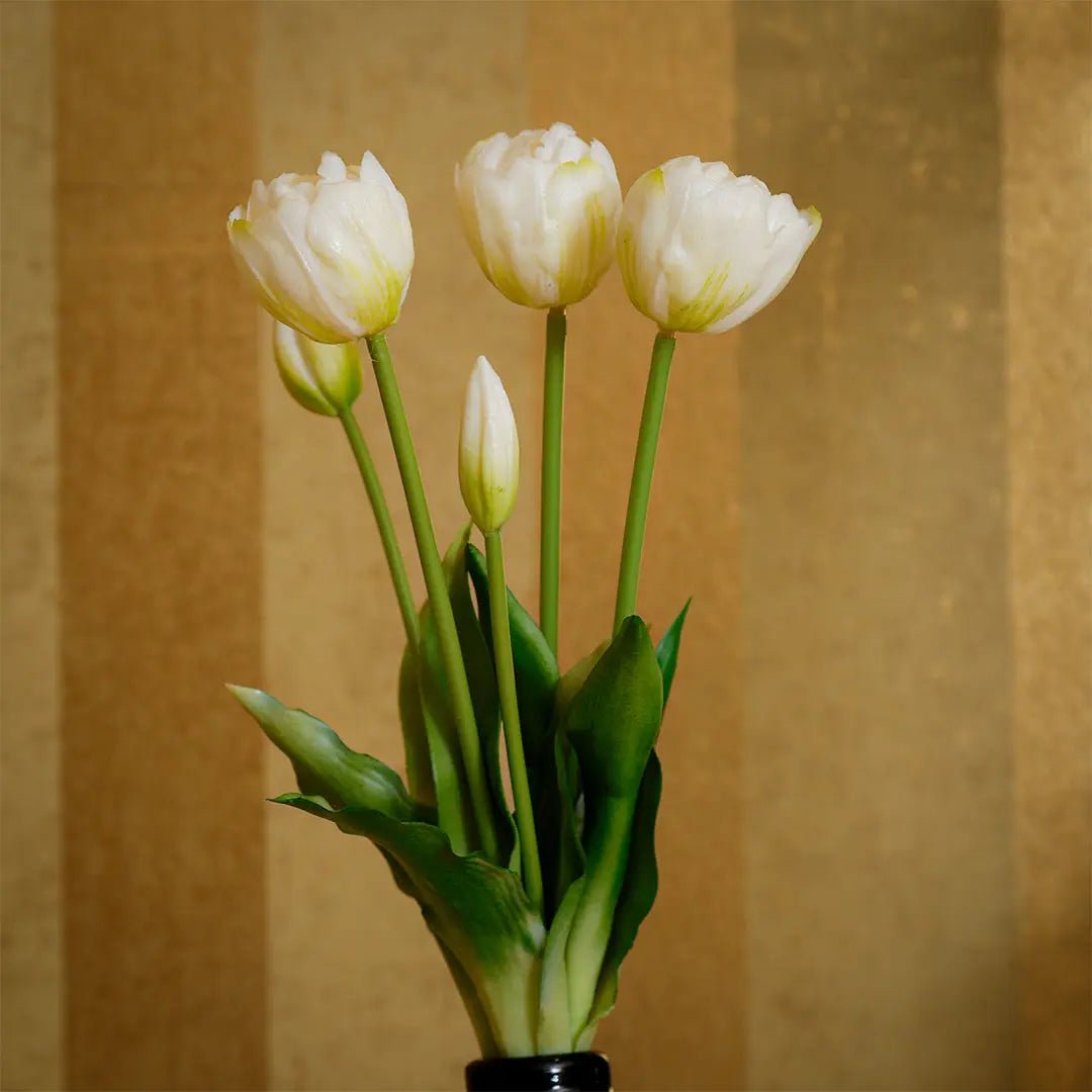 Daamaira Cream White Tulip Display - Daamaira Home and Living Ltd