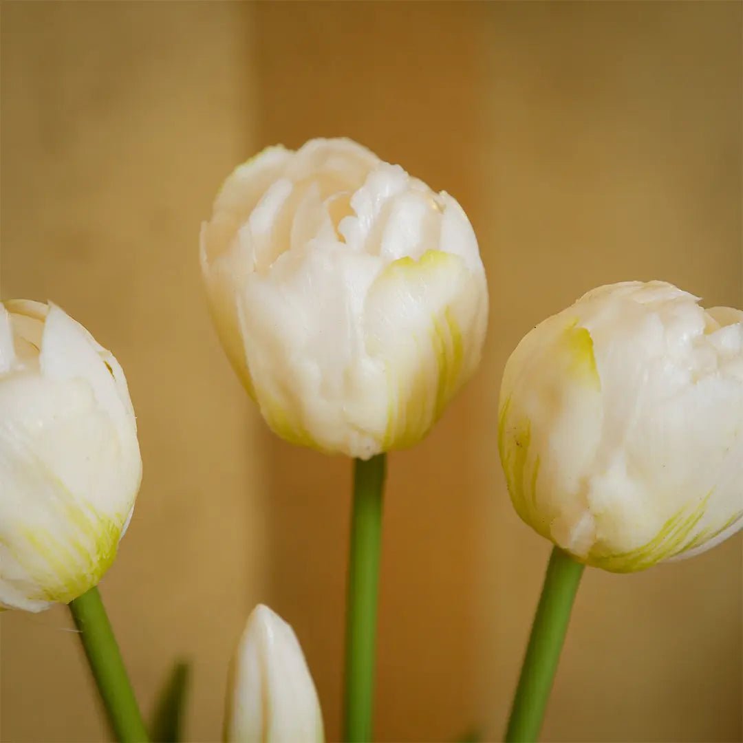 Daamaira Cream White Tulip Display - Daamaira Home and Living Ltd