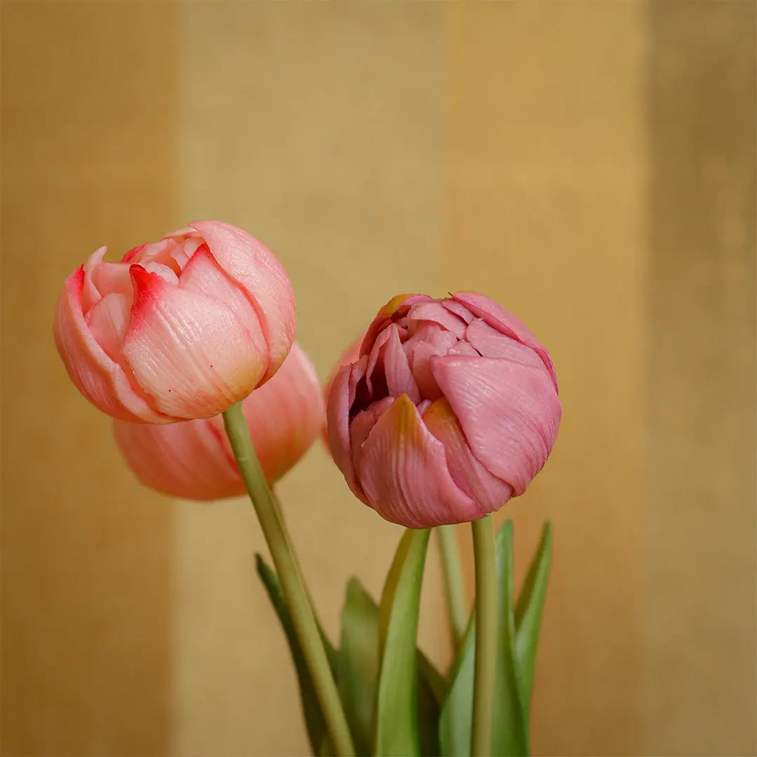 Daamaira Dusky Pink Tulip Bouquet - Daamaira Home and Living Ltd