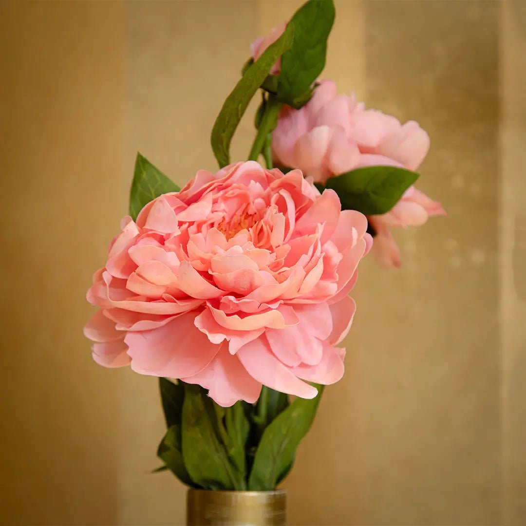 Daamaira Luxe Peony Bloom - Daamaira Home and Living Ltd