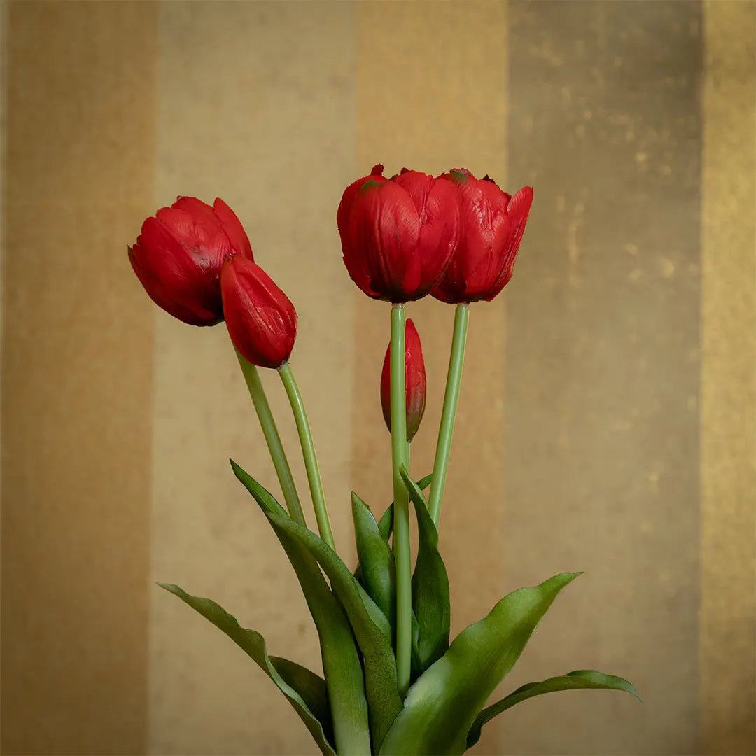 Daamaira Ruby Red Tulip Display - Daamaira Home and Living Ltd