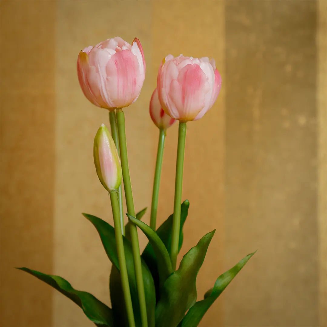 Daamaira Soft Pink Tulip Arrangement - Daamaira Home and Living Ltd