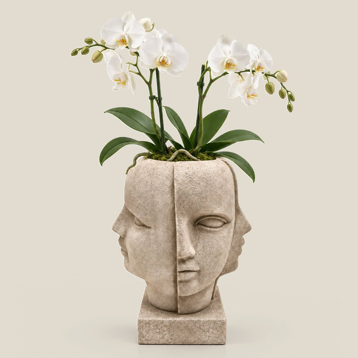 Dual Muse Planter Beige - 31 Inch