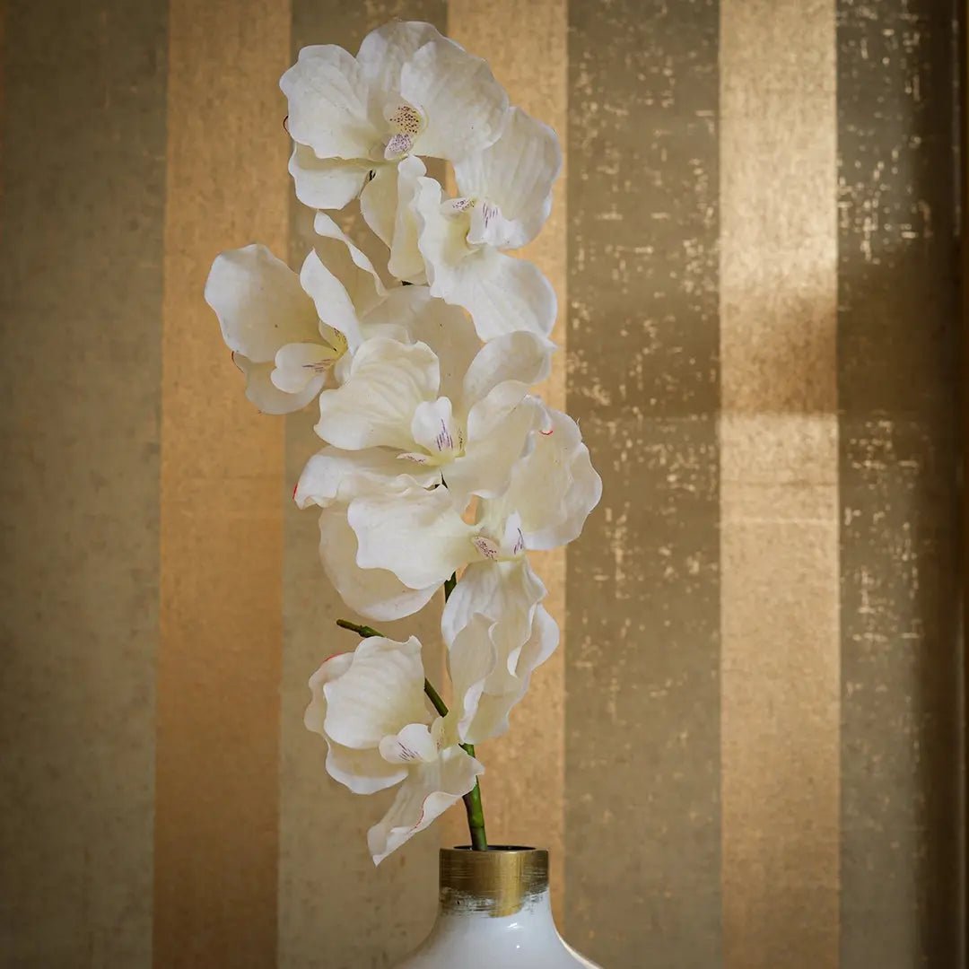 Elegant White Orchid Stem - Daamaira Home and Living Ltd