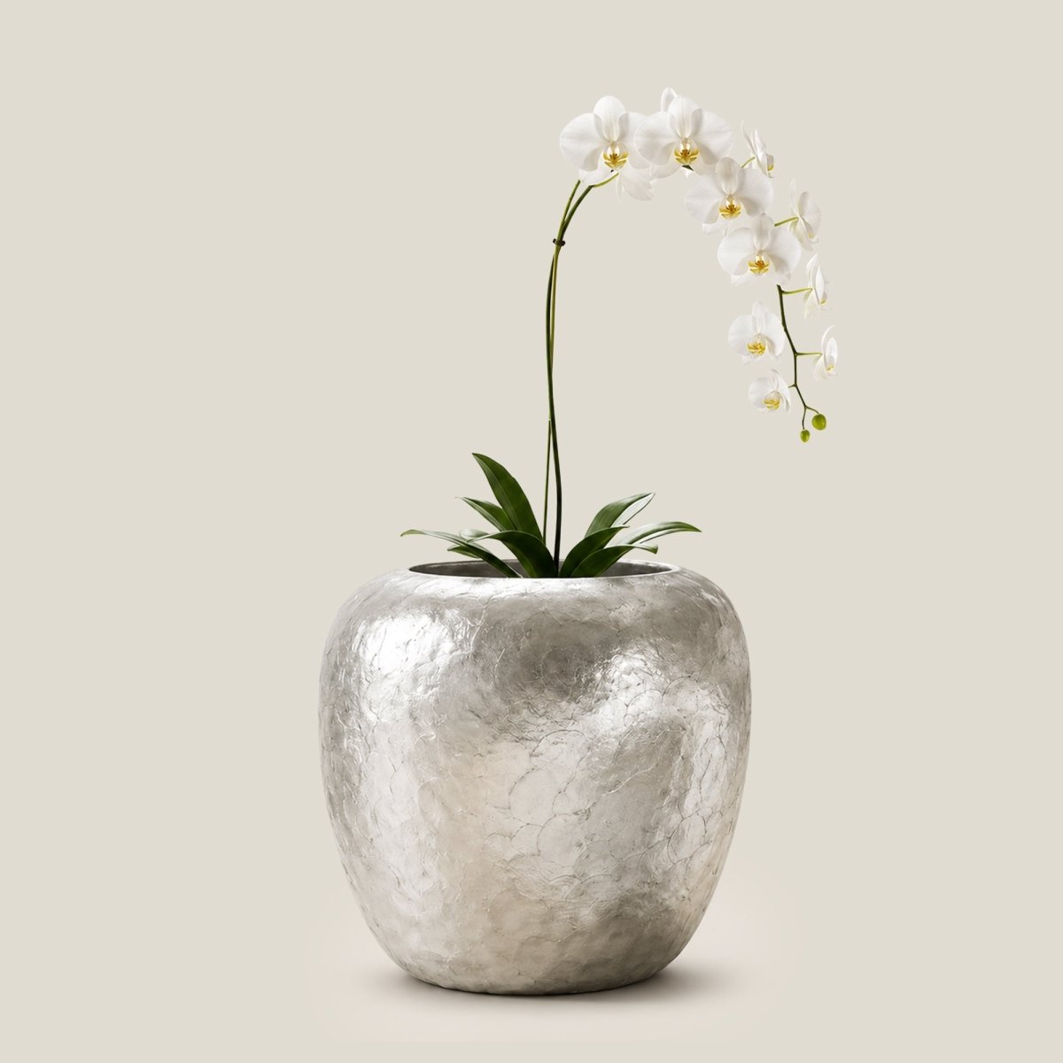 Mother of Pearl Planter - 19 inches - Daamaira Home and Living Ltd
