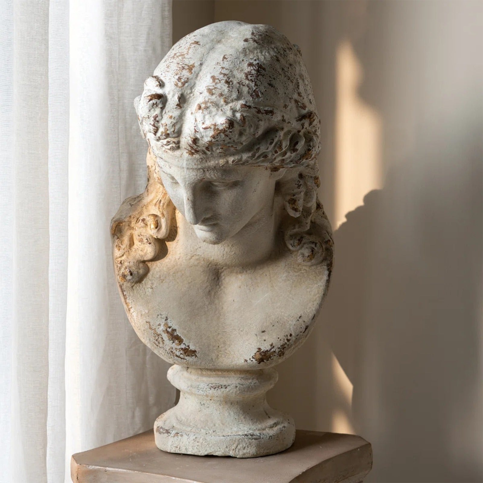 The European Man Bust