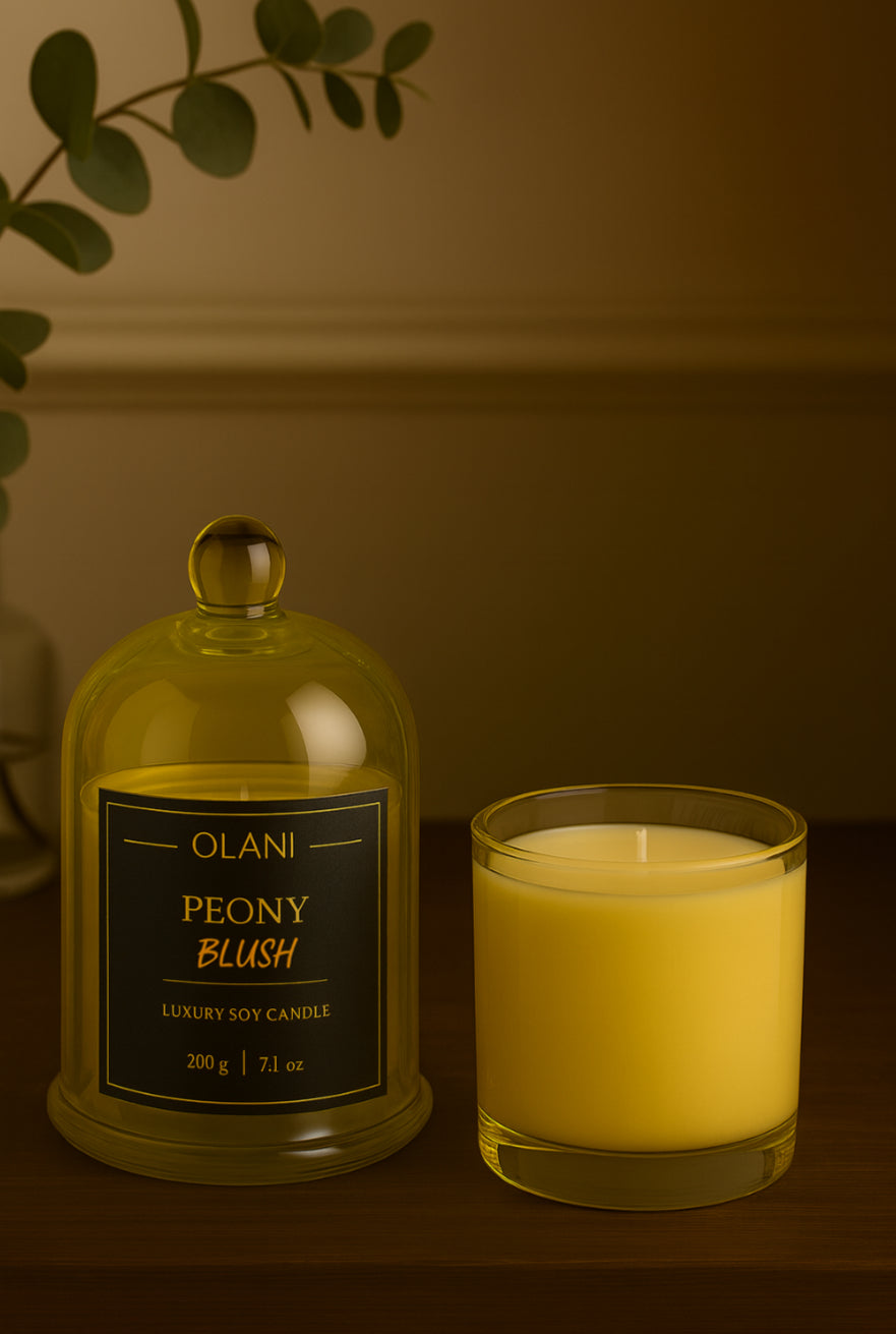 Bell Jar Premium Glass Candle Cloche Cover