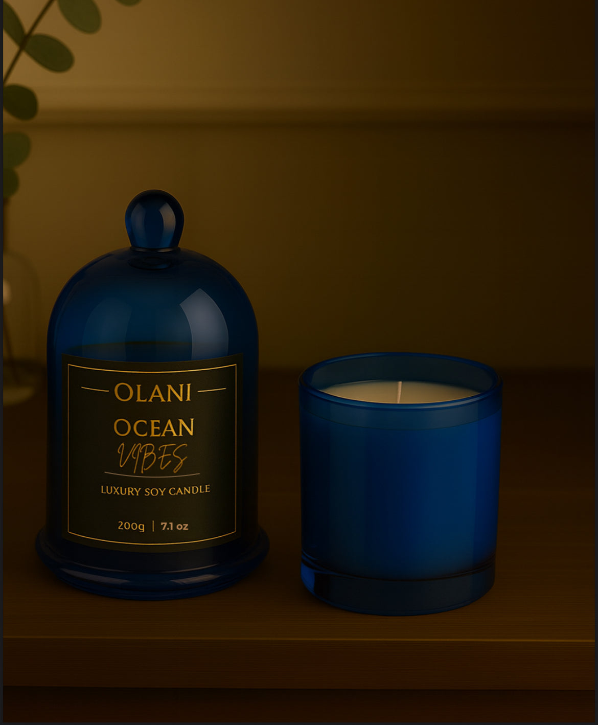 Bell Jar Premium Glass Candle Cloche Cover