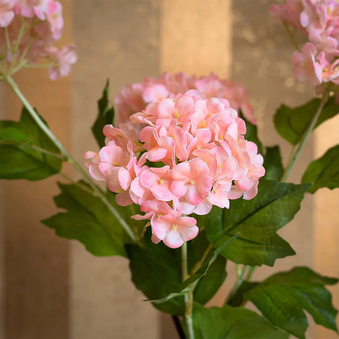 Blush Hydrangea Bloom - Daamaira Home and Living Ltd