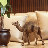 Calm Camel — view 4