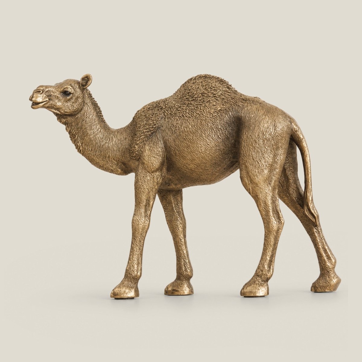 Sculptures & Figurines Calm Camel - Daamaira Home and Living Ltd