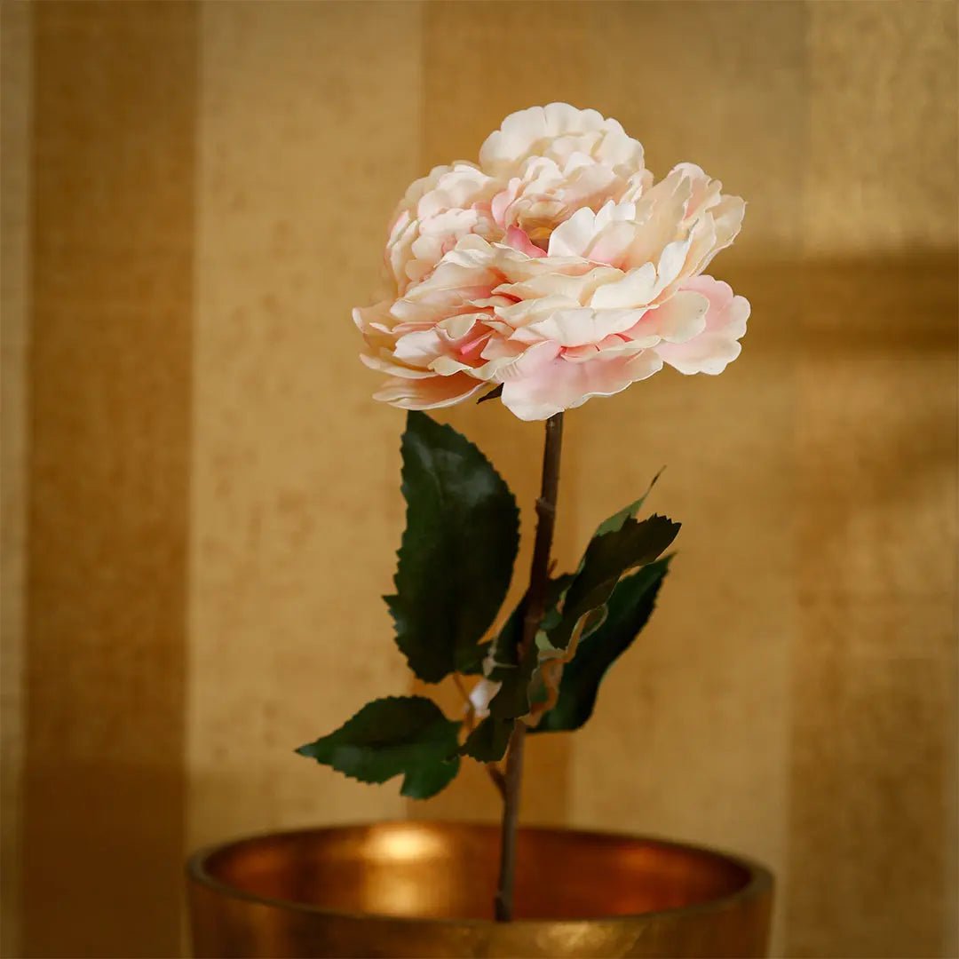 Daamaira Blush Peony Stem Accent - Daamaira Home and Living Ltd