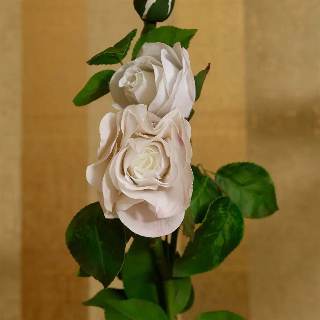 Daamaira Cream & Blush Rose Spray - Daamaira Home and Living Ltd