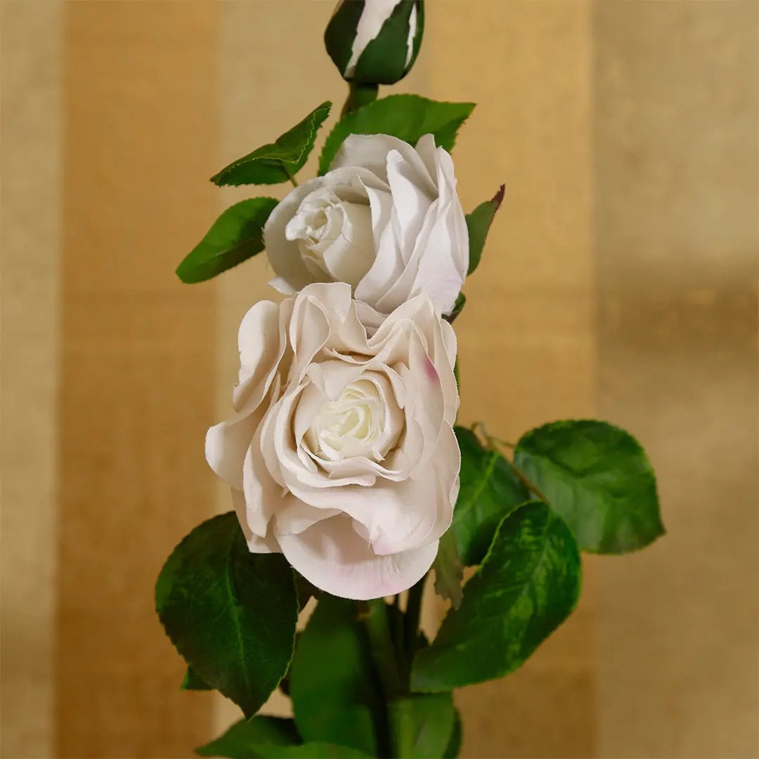 Daamaira Cream & Blush Rose Spray - Daamaira Home and Living Ltd