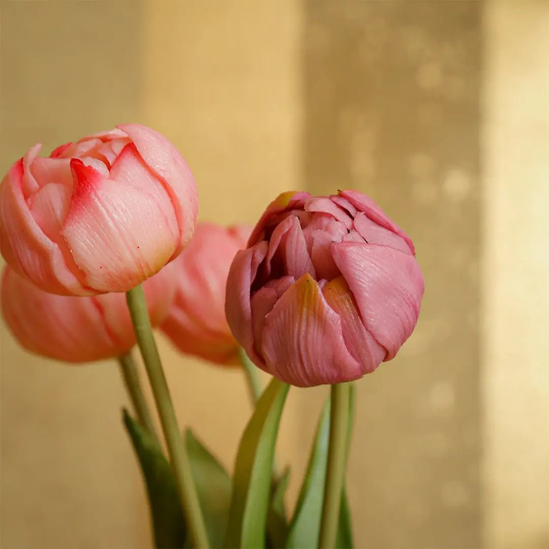 Daamaira Dusky Pink Tulip Bouquet - Daamaira Home and Living Ltd