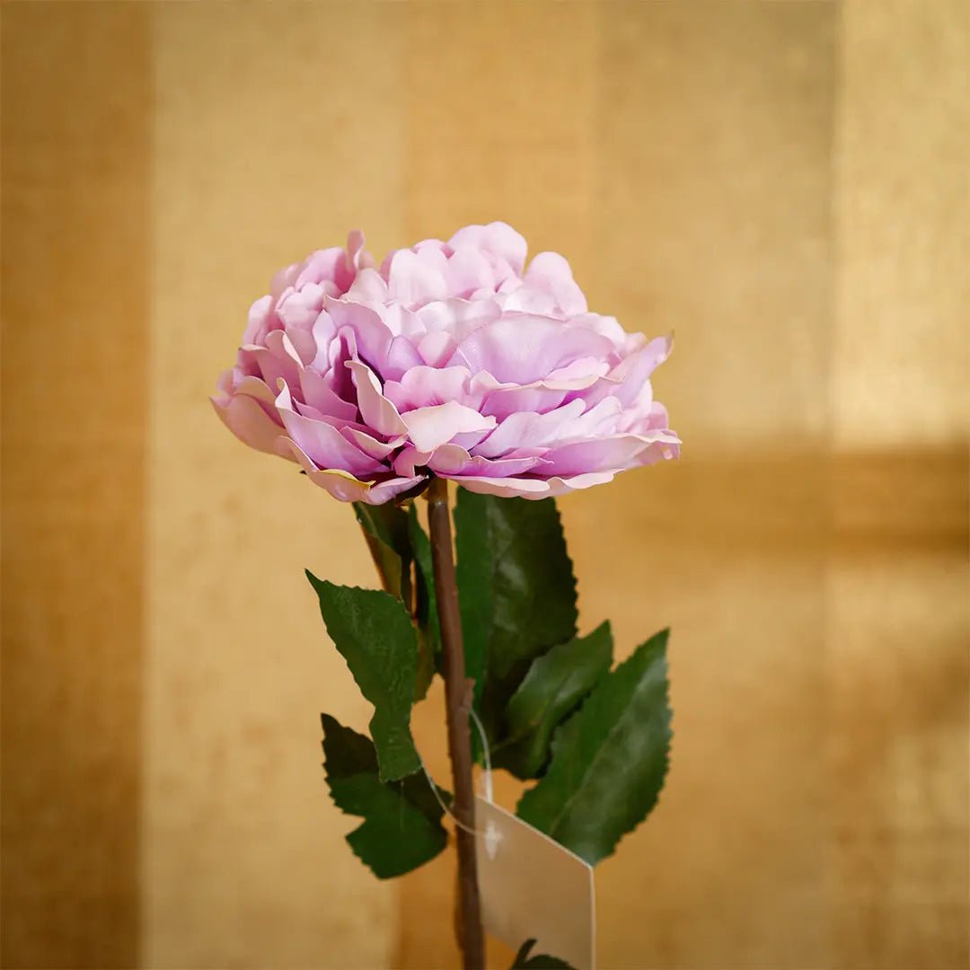 Daamaira Lavender Peony Stem Accent - Daamaira Home and Living Ltd