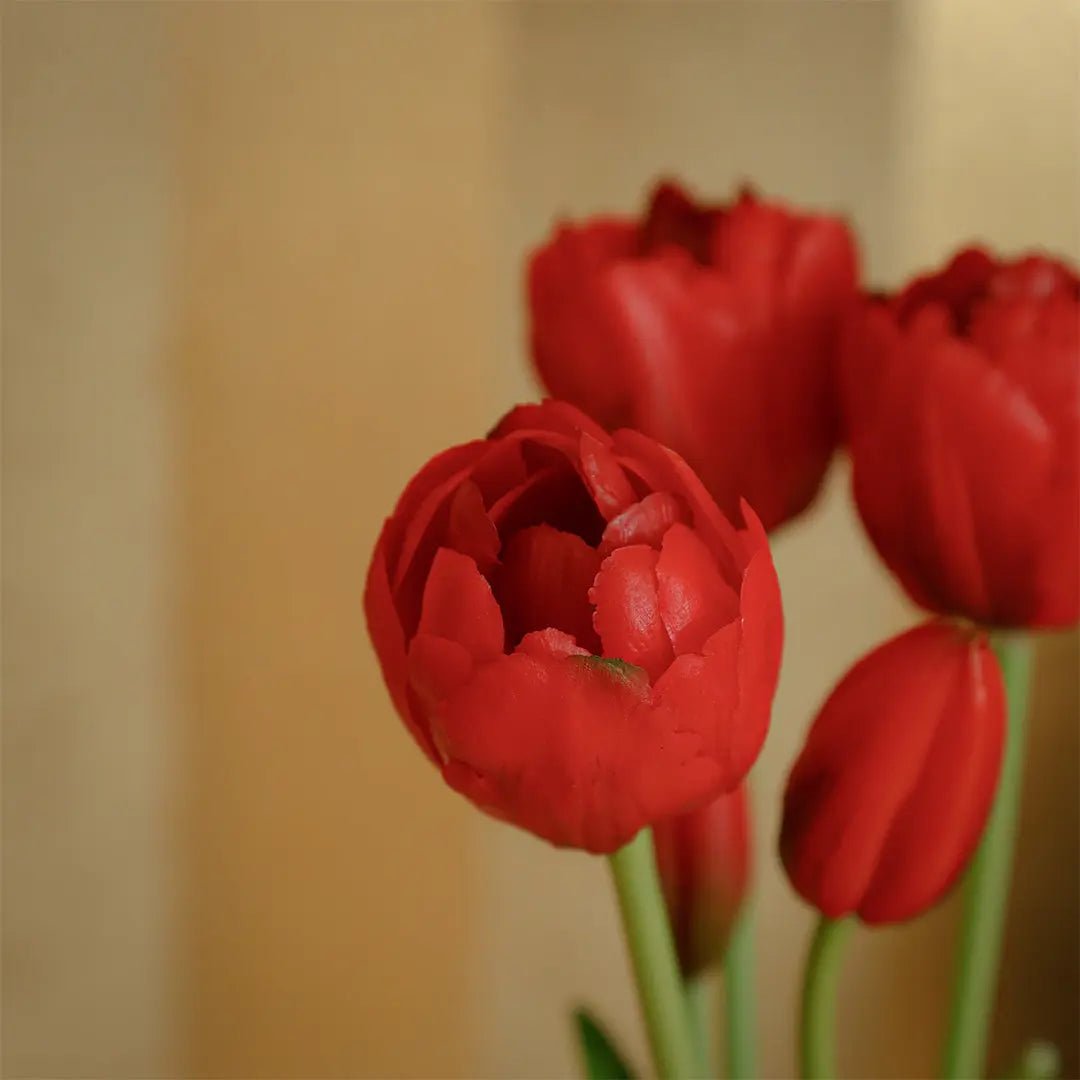 Daamaira Ruby Red Tulip Display - Daamaira Home and Living Ltd