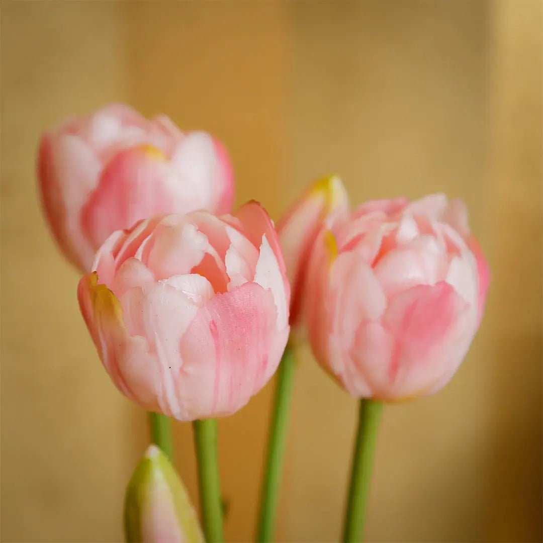 Daamaira Soft Pink Tulip Arrangement - Daamaira Home and Living Ltd