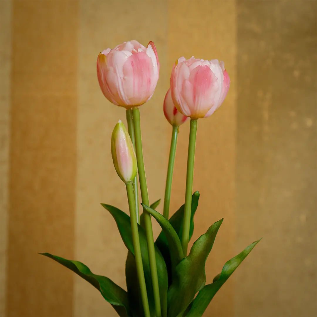 Daamaira Soft Pink Tulip Arrangement - Daamaira Home and Living Ltd