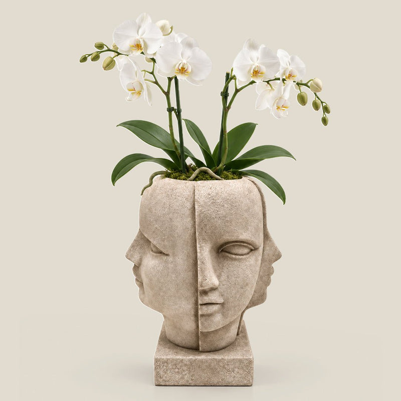 Dual Muse Planter Beige - 31 Inch — image 1