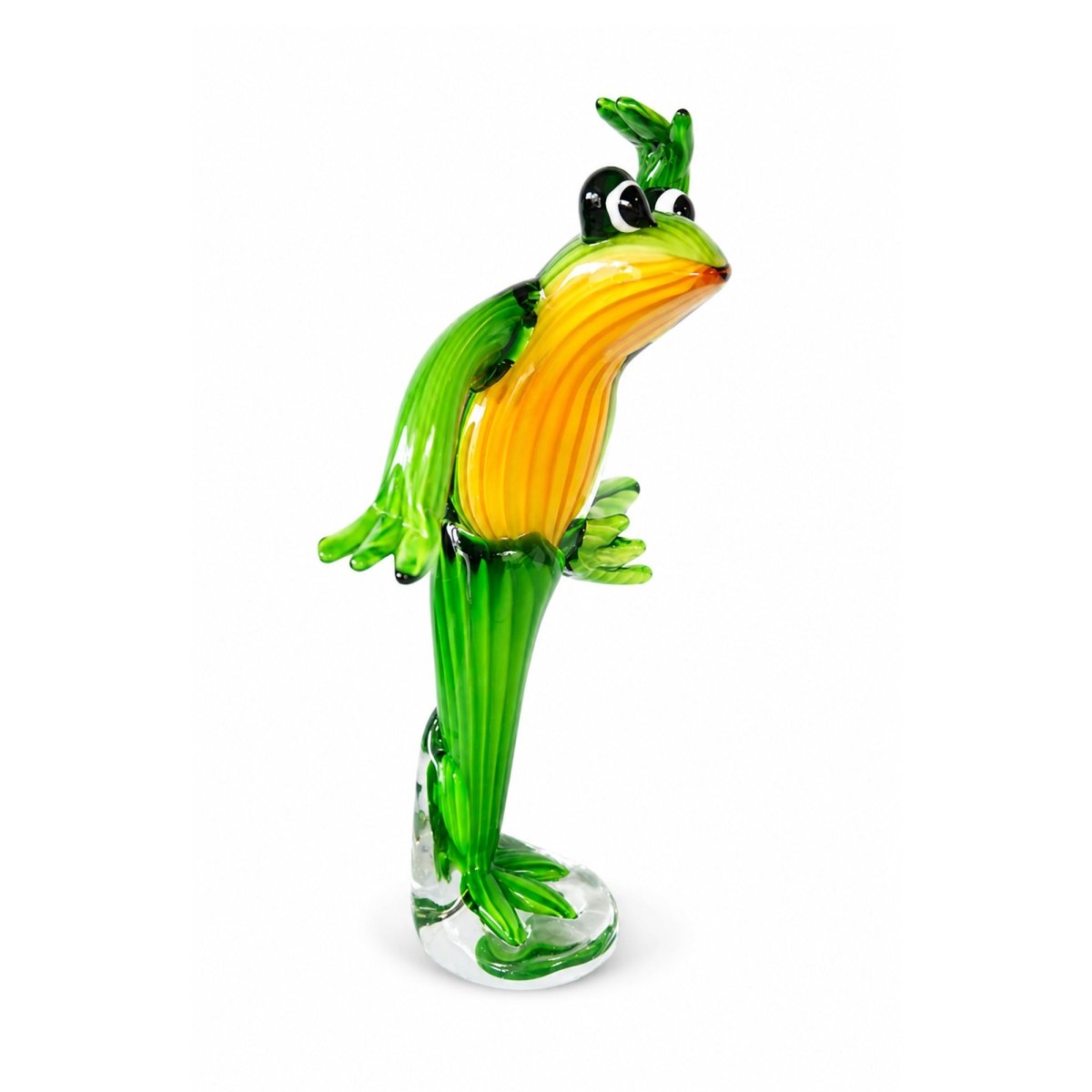 Frog Maestro - Daamaira Home and Living Ltd