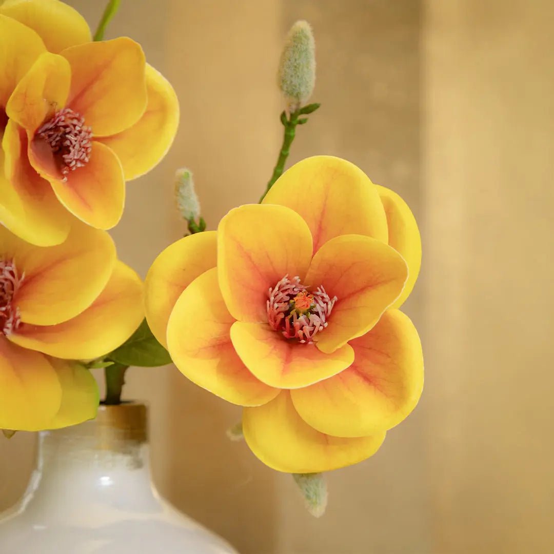 Golden Bloom Magnolia Stem in Ceramic Vase - Daamaira Home and Living Ltd