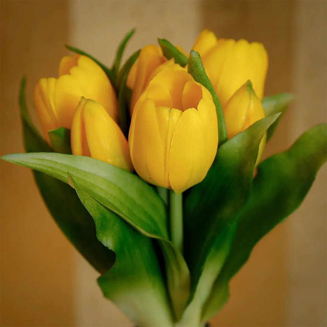 Golden Bloom Tulip Bunch - Daamaira Home and Living Ltd