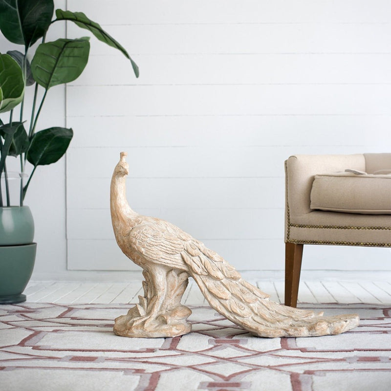 Grazing Peacock — image 2