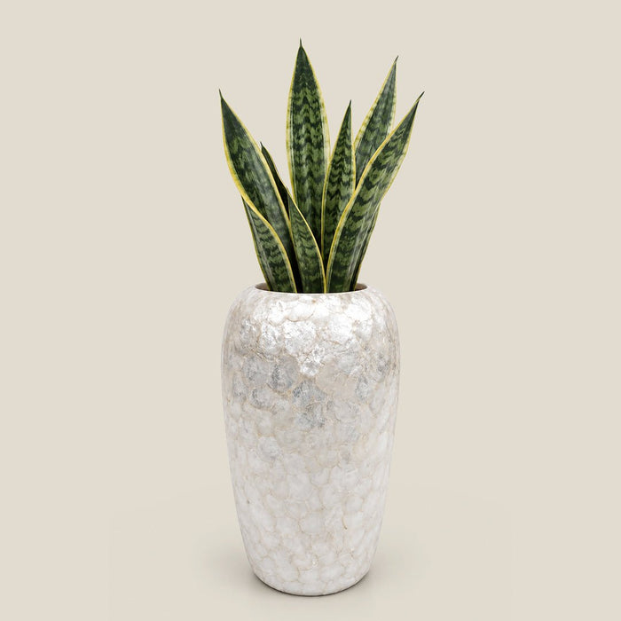 Mother of Pearl Planter - 25 Inch