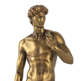 The David Statue — view 6