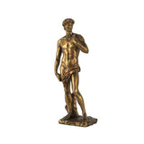The David Statue — view 5