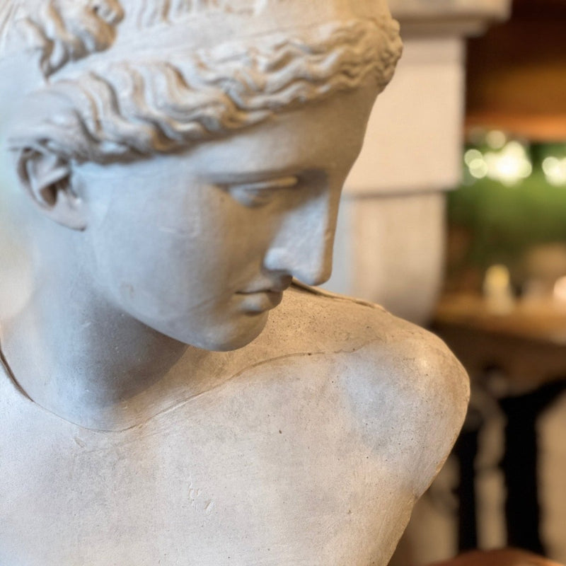 The European Lady Bust — image 5