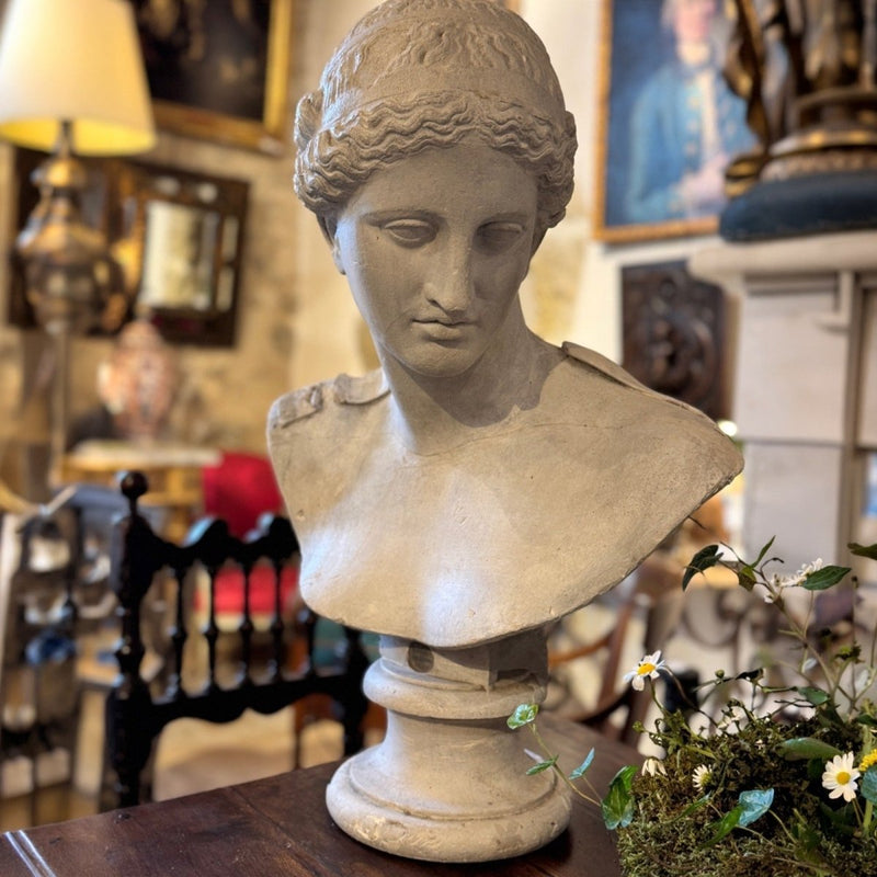 The European Lady Bust — image 2