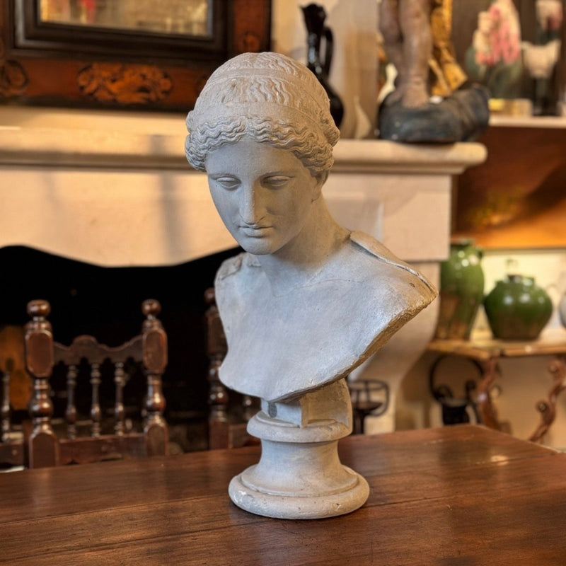 The European Lady Bust — image 3