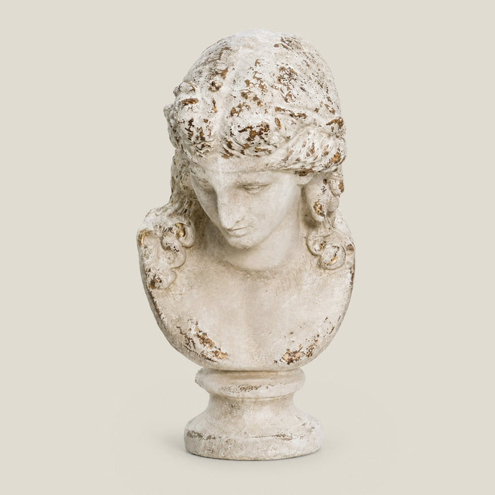 The European Man Bust