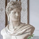 The French Bust Statue — thumbnail 3