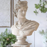 The French Bust Statue — thumbnail 2